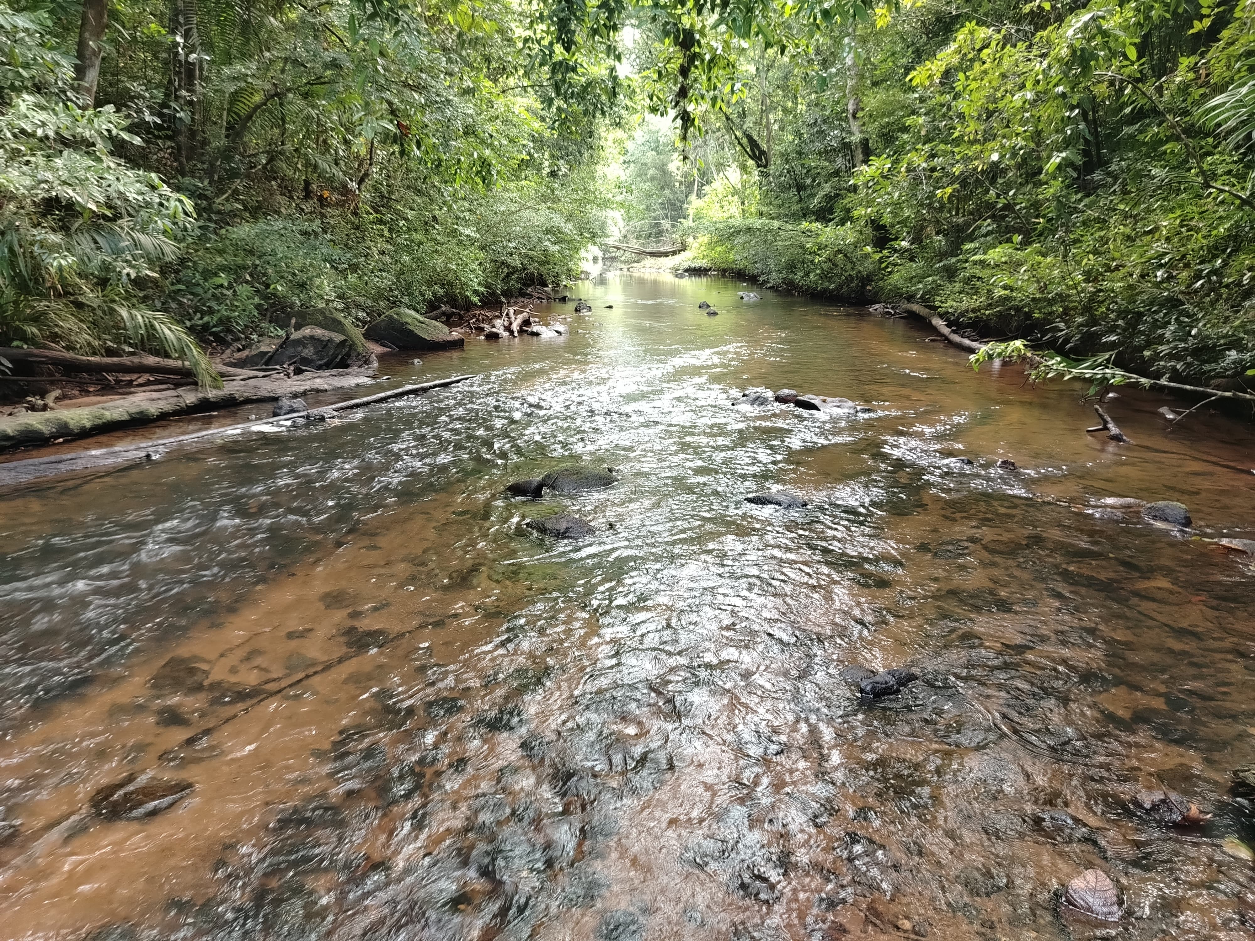 The river at ASHE Harmony
